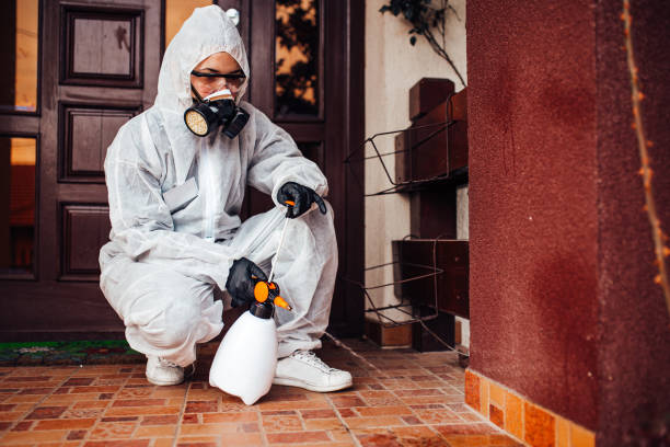 Attic and Crawl Space Rodent Treatment in Pleasant Run Farm