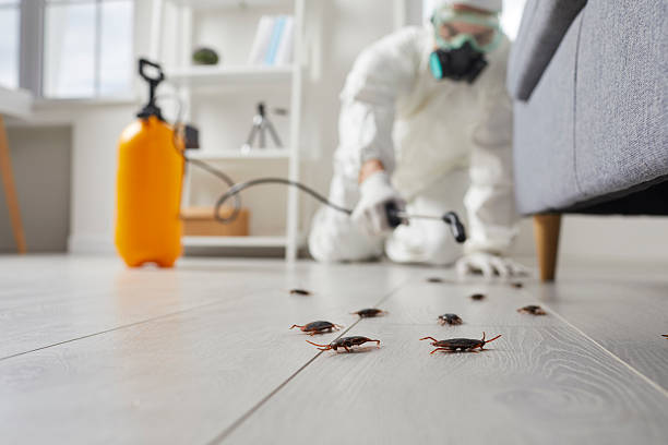 Commercial Rodent Management in Pleasant Run Farm